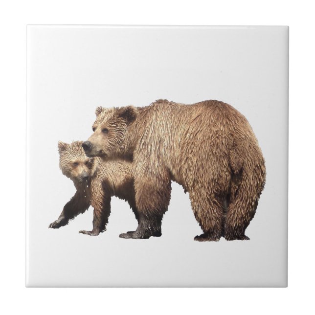 Keramik Tile von Grizzlybär & Cubus Fliese (Vorderseite)