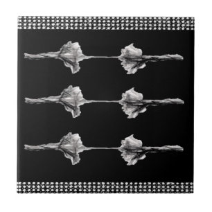 Keramik Tile Weiß und Schwarz Fliese