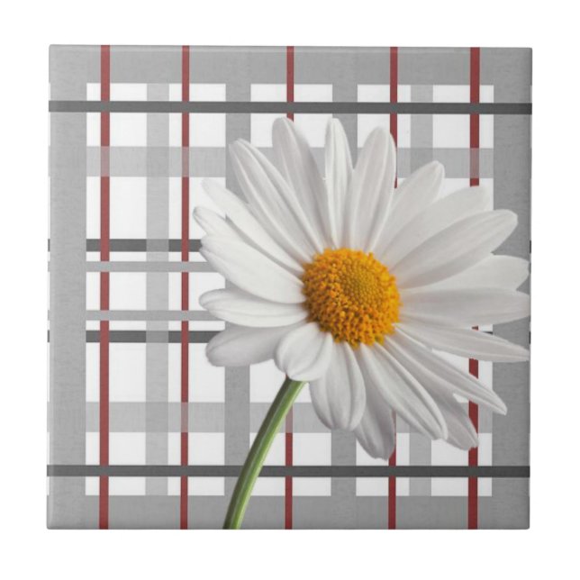 Keramik Tile White Daisy Floral Fliese (Vorderseite)