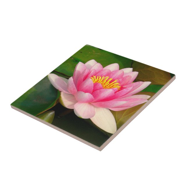 KERAMIK TITEL / PINK LOTUS BLOSSOM FLIESE (Seite)