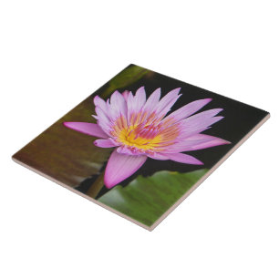 KERAMIK TITEL / PINK LOTUS BLOSSOM/GELBE ZENTRUM FLIESE