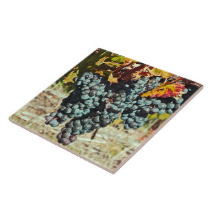 Keramik "TRUPPENKÖRPER, DIE VON RINDFLEISCH GEBRAC Fliese