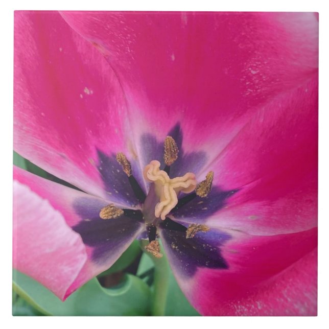 Keramik Tulip Tile Fliese (Vorderseite)