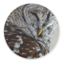 Keramik Uhu Türknauf