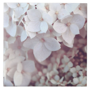 Keramikfliese Blush Pink Hortensie Floral Botanisc