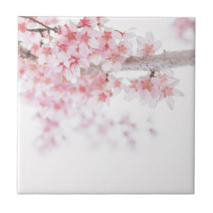 KERAMIKFLIESE: CHERRY BLOSSOM FLIESE