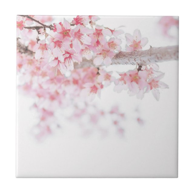 KERAMIKFLIESE: CHERRY BLOSSOM FLIESE (Vorderseite)
