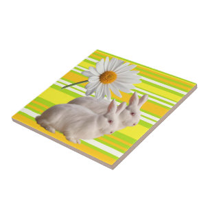 Keramikfliese Gelb Grüne Daisy Streifen Kaninchen