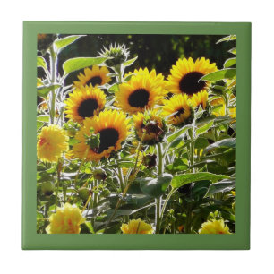 Keramikfliese kann als Untersetzer- oder