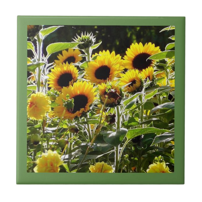 Keramikfliese kann als Untersetzer- oder (Vorderseite)