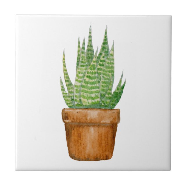 Keramikfliese mit eingetopfter Aloe Vera (Vorderseite)