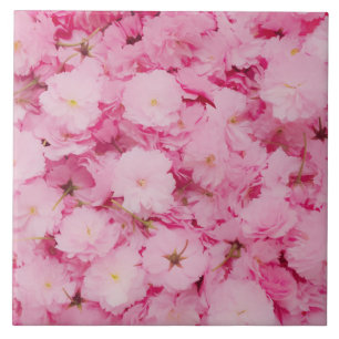 Keramikfliese Rosa Kirschblüten Floral Botanisch