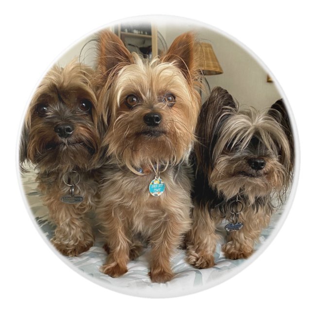 Keramikgriff Keramikknauf (Vorderseite)