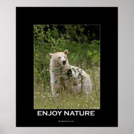 Kermode Bear Motivierend Poster