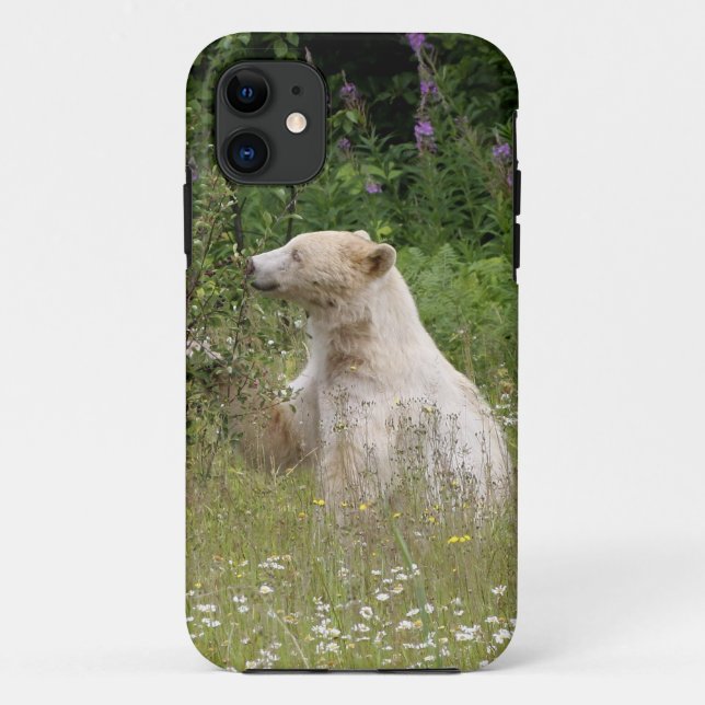 Kermode Spirit Bear Wildlife iPhone Case (Rückseite)