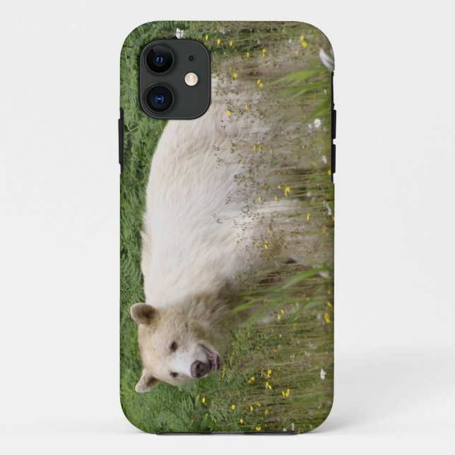 Kermode Spirit Bear Wildlife iPhone Case (Rückseite)
