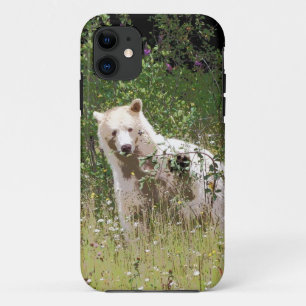 Kermode Spirit Bear, Wildlife, seltener Bär iPhone 11 Hülle