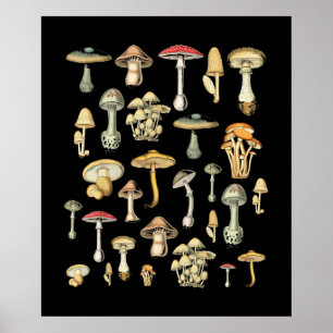 Kernästhetisches Pilz Poster