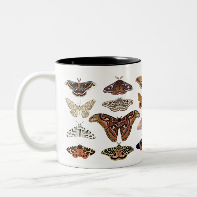 Kernmotten Zweifarbige Tasse (Links)