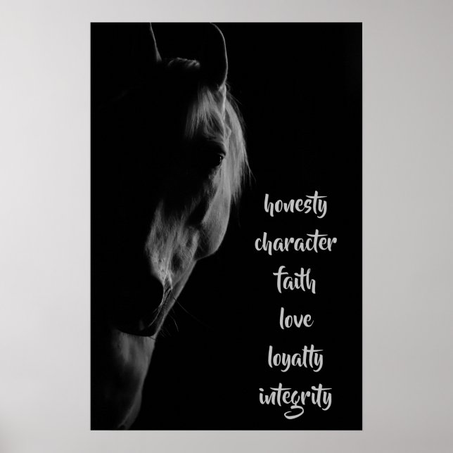 Kernwerte der Gerahmten Kunst des Weißen Horns Poster (Vorne)