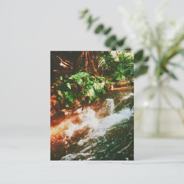 Kerosin Creek, Rotorua, Neuseeland Postkarte (Stehend Vorderseite)