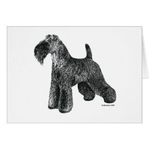 Kerry-Blau Terrier
