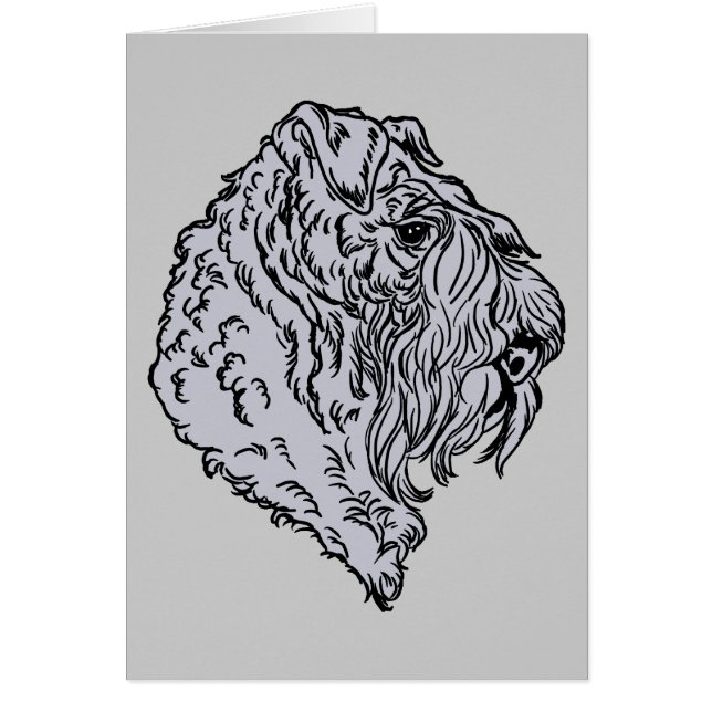 Kerry Blue Terrier Bust (Vorne)