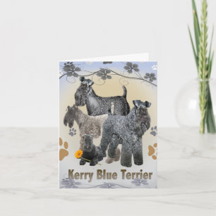 Kerry Blue Terrier Grußkarten Karte