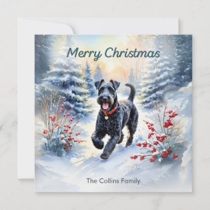 Kerry Blue Terrier im Schnee Winter Frohe Weihnach Feiertagskarte