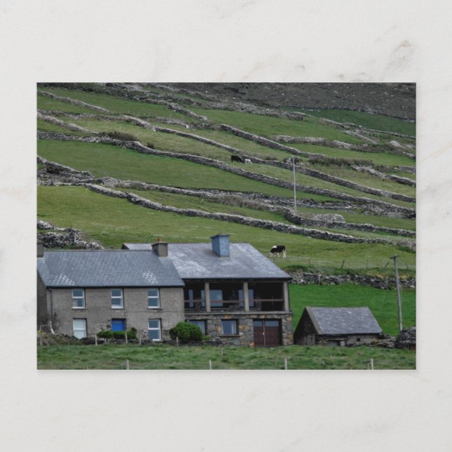 Kerry / Irland Postkarte (Vorderseite)