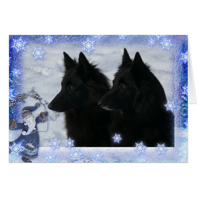 Kerstkaart 2 Groenendaelers (Vorderseite (Horizontal))