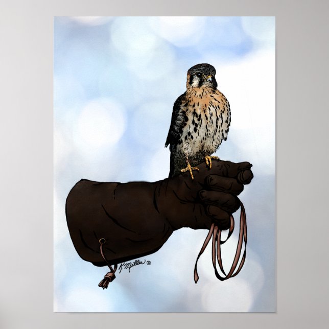 Kestrel auf Glove Illustration Poster (Vorne)