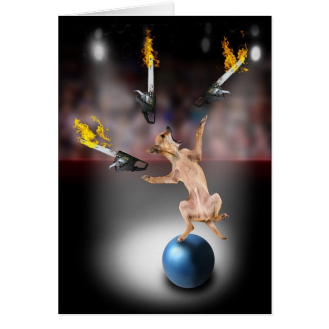 Kettensägen-jonglierende Chihuahua (Vorne)