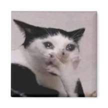 Keuchkatze Meme