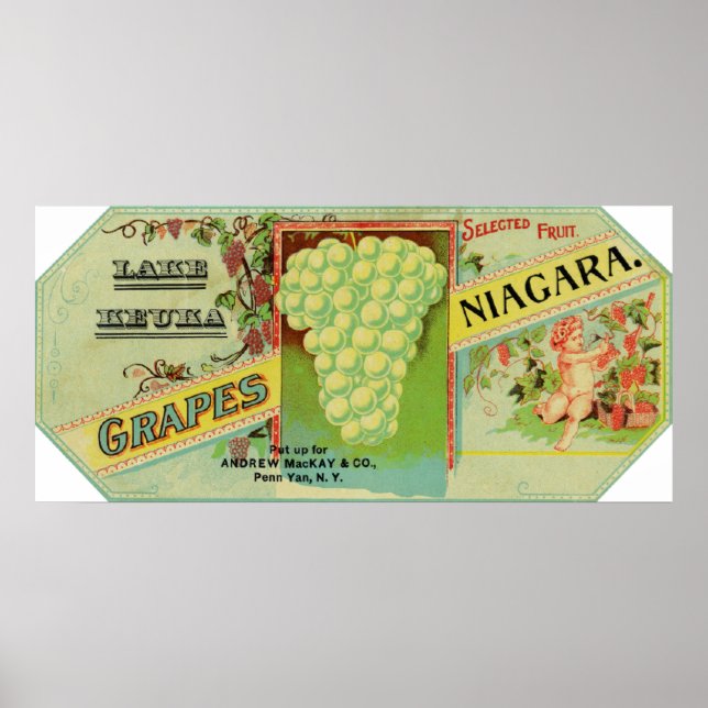 Keuka-Niagara-Traubenschild Poster (Vorne)