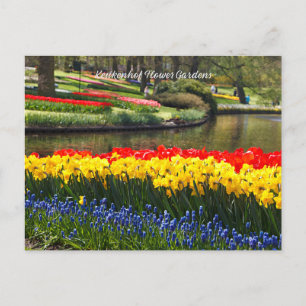 Keukenhof Blumengärten Postkarte