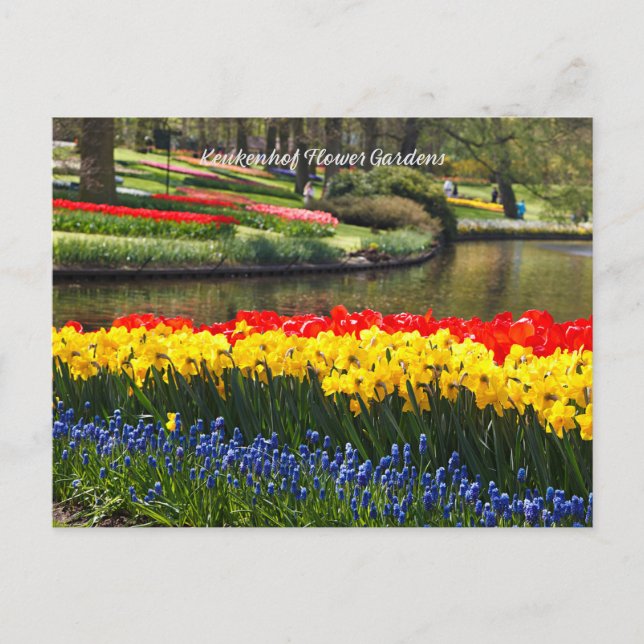 Keukenhof Blumengärten Postkarte (Vorderseite)