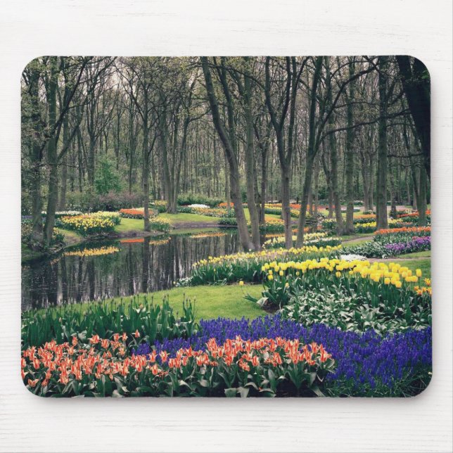 Keukenhof, ein Blumenbankett Mousepad (Vorne)