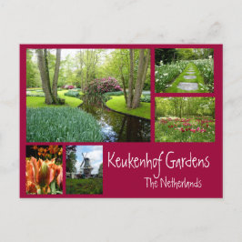 Keukenhof Gardens Collage Postkarte