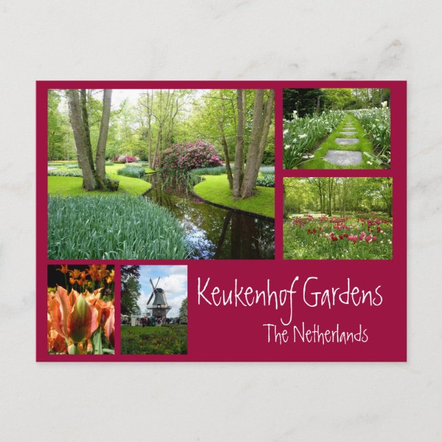 Keukenhof Gardens Collage Postkarte (Vorderseite)