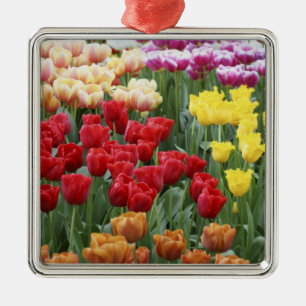 Keukenhof Gardens, Holland, spezialisiert auf 2 Ornament Aus Metall