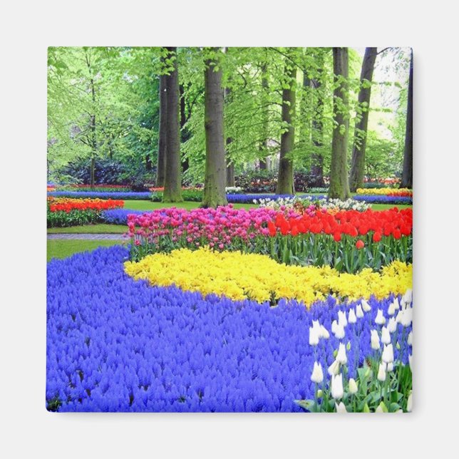 KEUKENHOF GARDENS, LISSE HOLLAND MAGNET (Vorne)