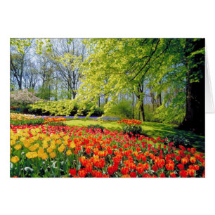 KEUKENHOF GÄRTEN