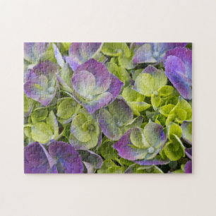 Keukenhof-Garten Hortensie Puzzle