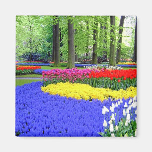 KEUKENHOF GÄRTEN, LISSE HOLLAND MAGNET