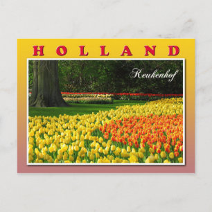 Keukenhof, Lisse, Niederlande Postkarte