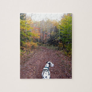 Kevin der Dalmatiner Puzzle