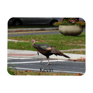Kevin the Turkey - Old Wethersfield , CT Magnet