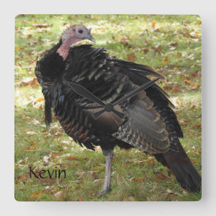 Kevin the Turkey - Old Wethersfield , CT Quadratische Wanduhr