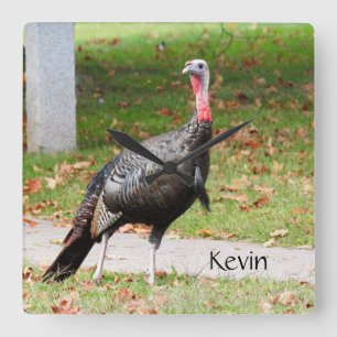 Kevin the Turkey - Old Wethersfield , CT Quadratische Wanduhr